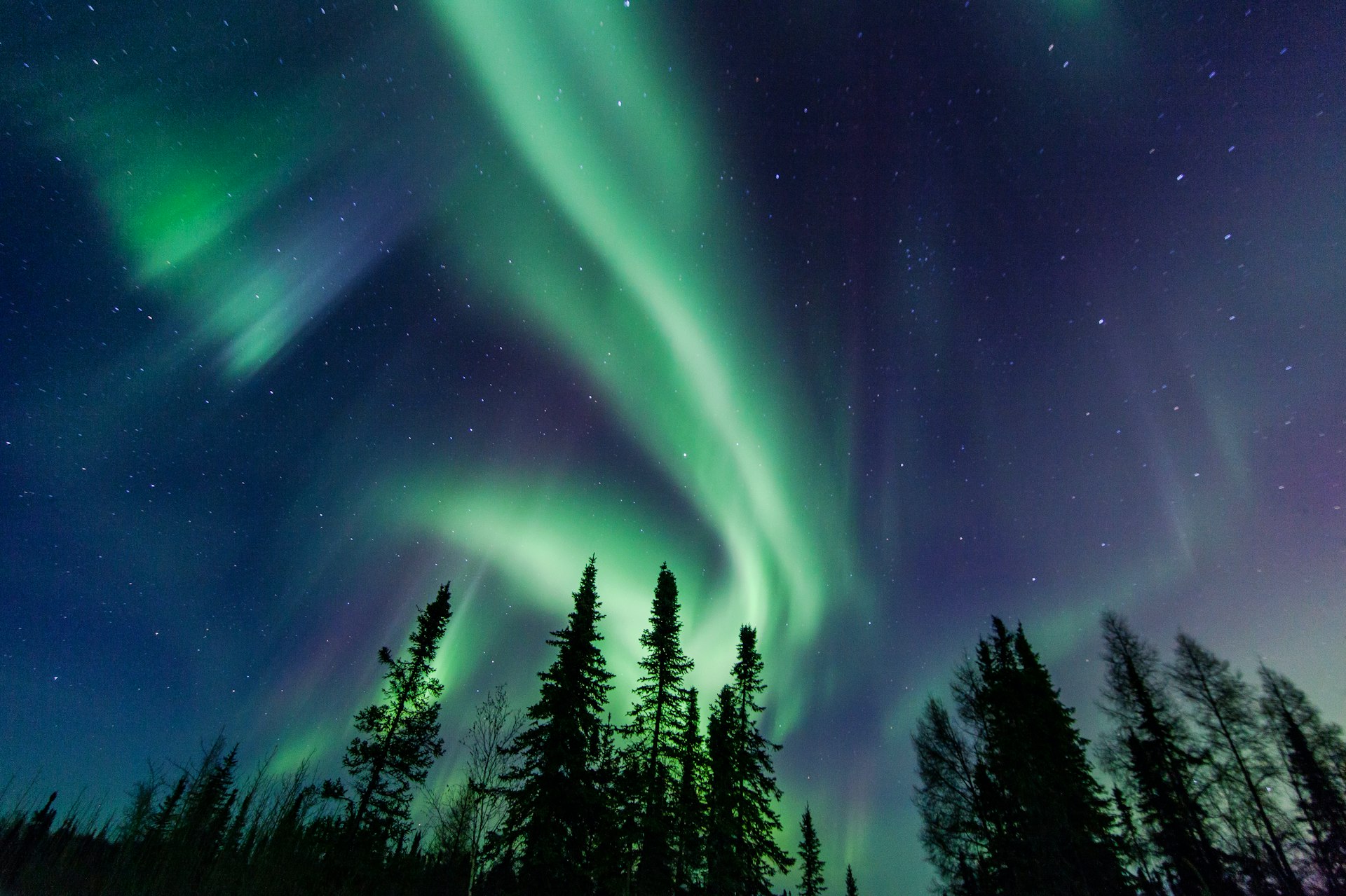 Green and purple colours streak across the night's sky as the northern lights can be seen close to Yellownife