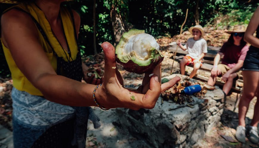 Minca,,Colombia,-,Circa,March,2020:,Coffee,And,Chocolate,Tour