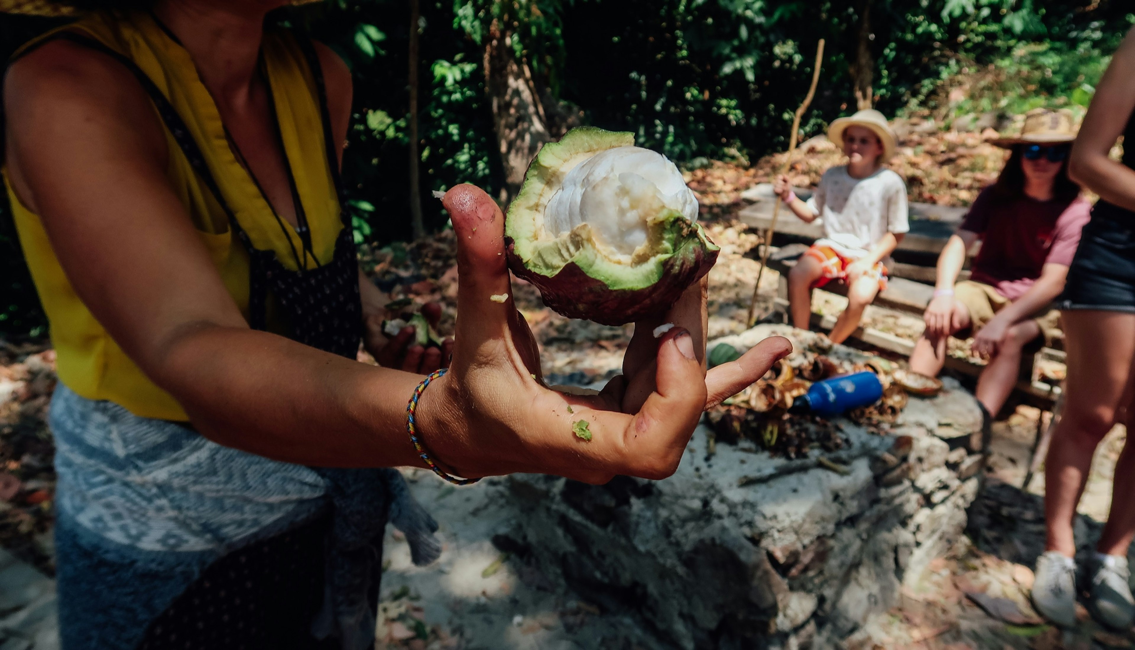 Minca,,Colombia,-,Circa,March,2020:,Coffee,And,Chocolate,Tour