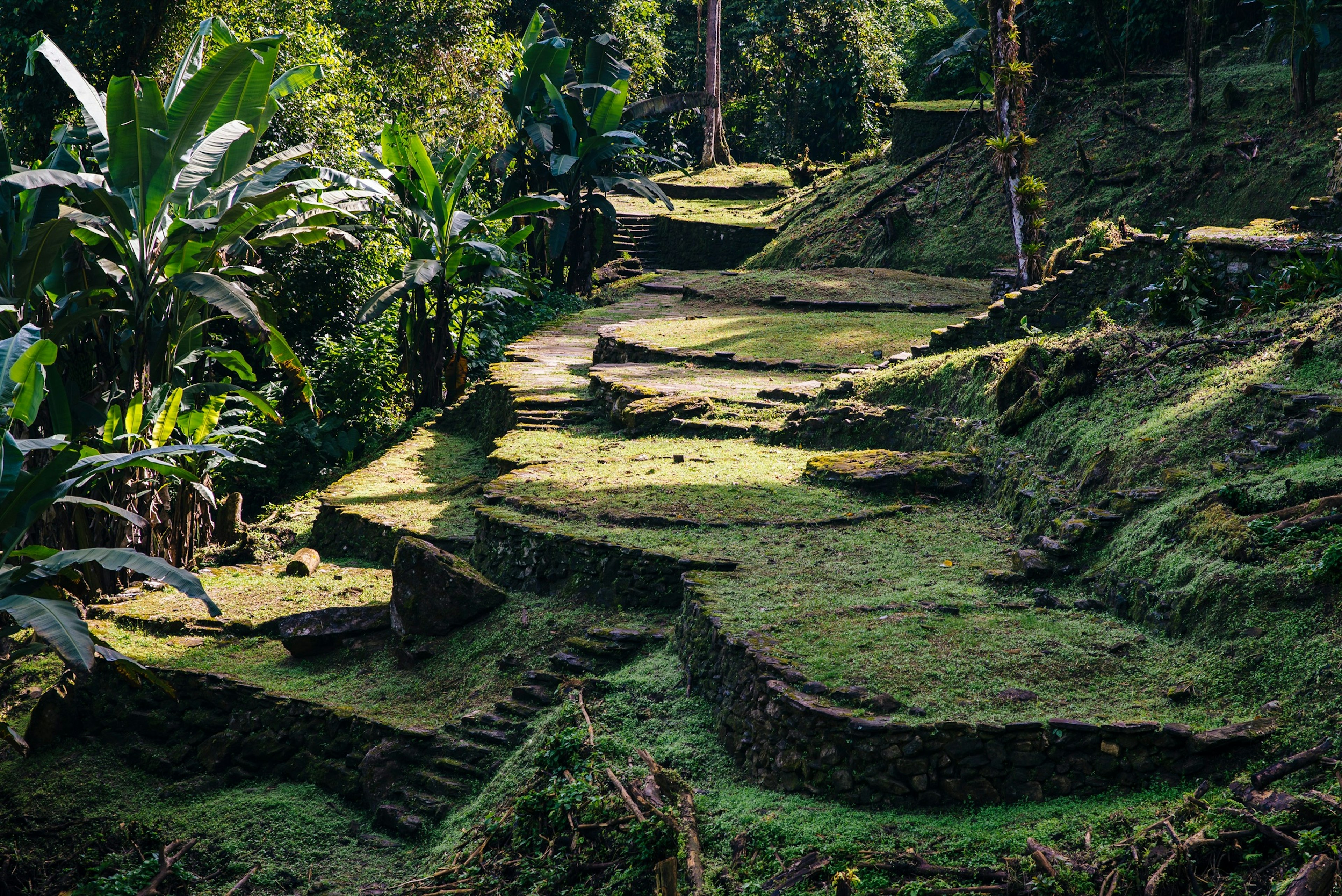 Terraces,Of,The,Lost,City,(ciudad,Perdida),In,The,Sierra