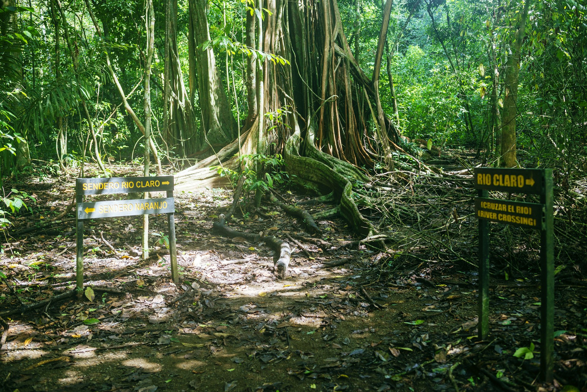 Señales en las carreteras del Parque Nacional Corcovado, Costa Rica