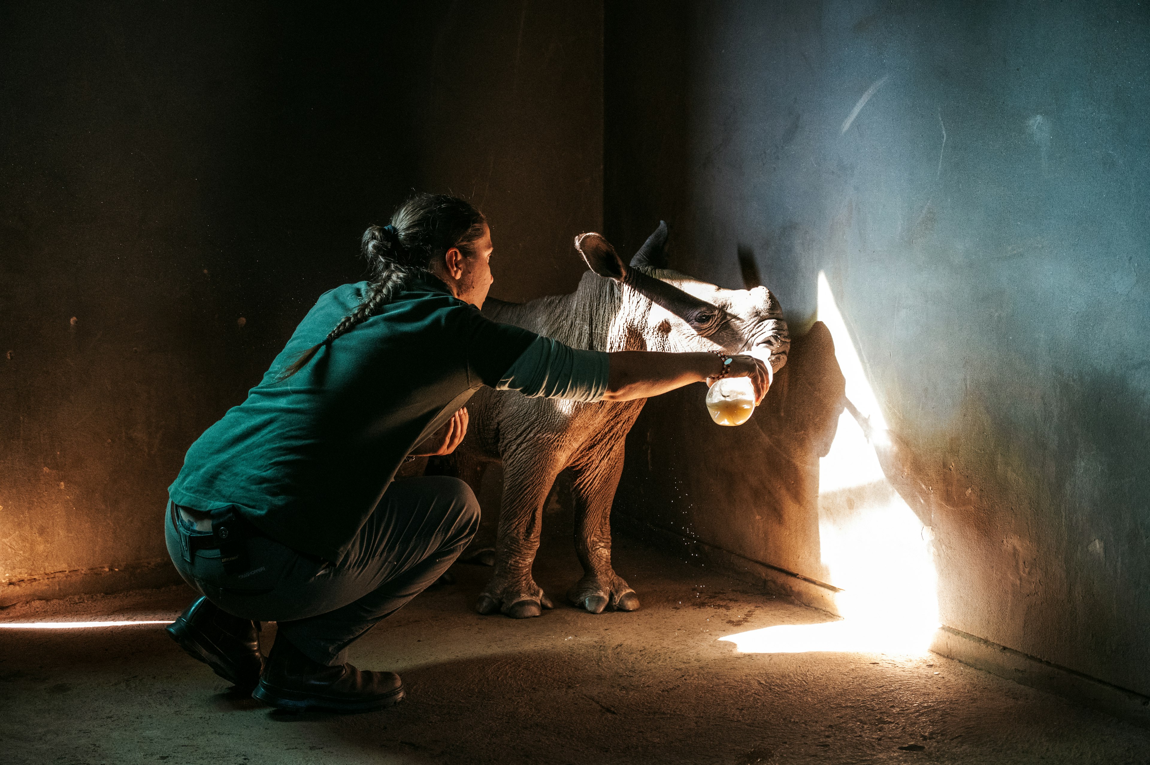 A woman holds a plastic bottle to the mouth of a baby rhino at Kruger National Park Rhino orphanage