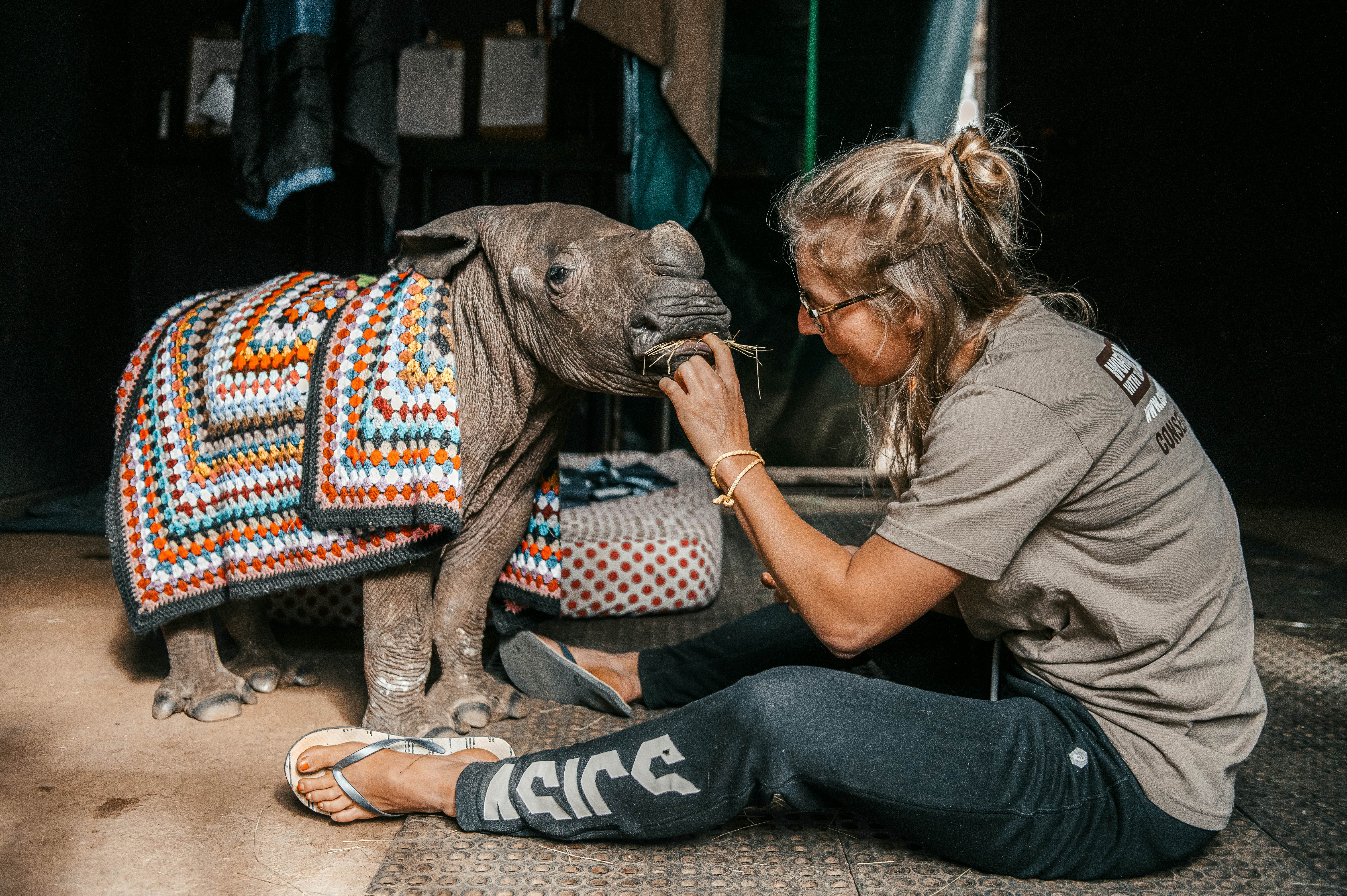 How to join rhino voluntourism in Africa - Lonely Planet