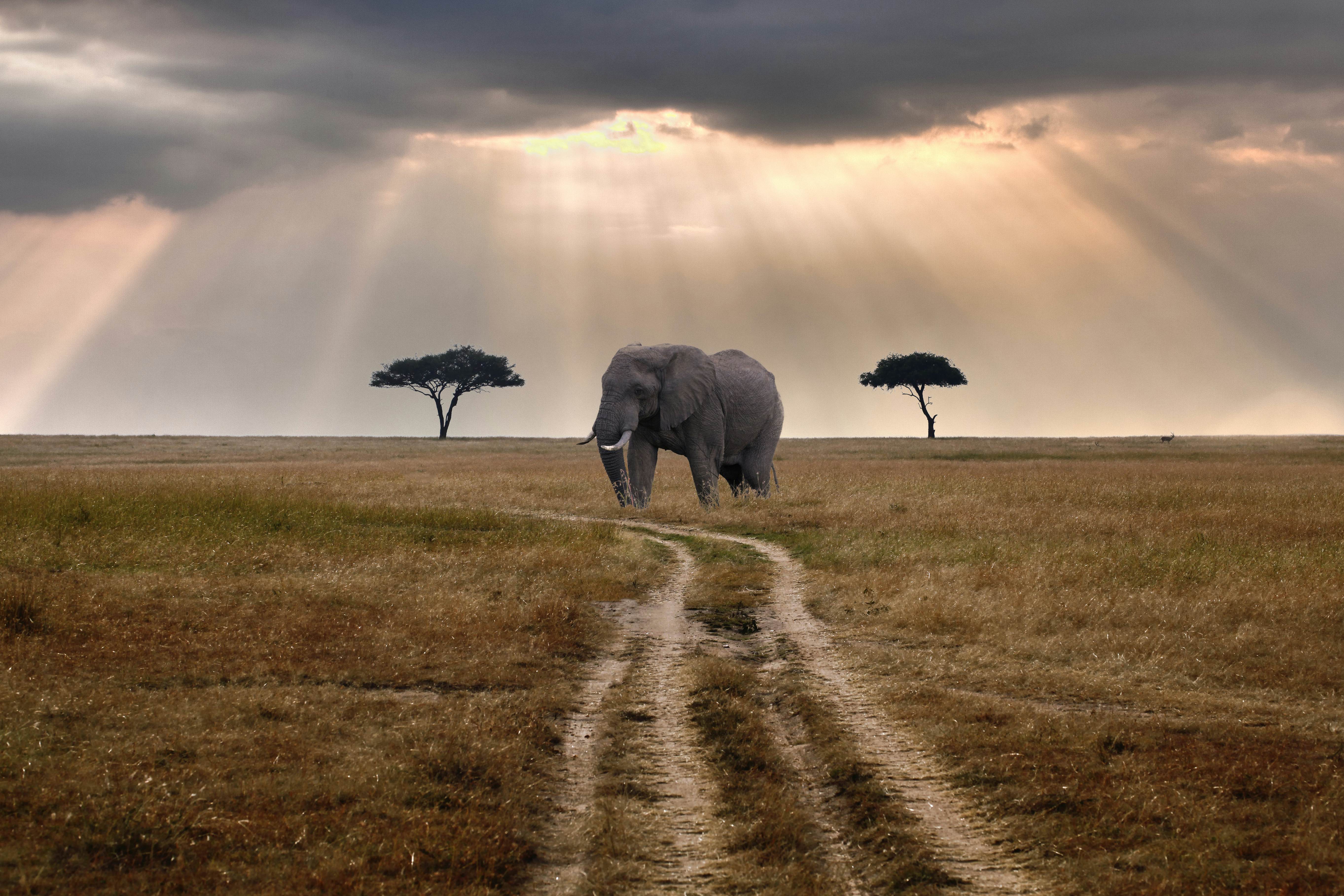 Kenya on a budget - Lonely Planet - Vimarsana News