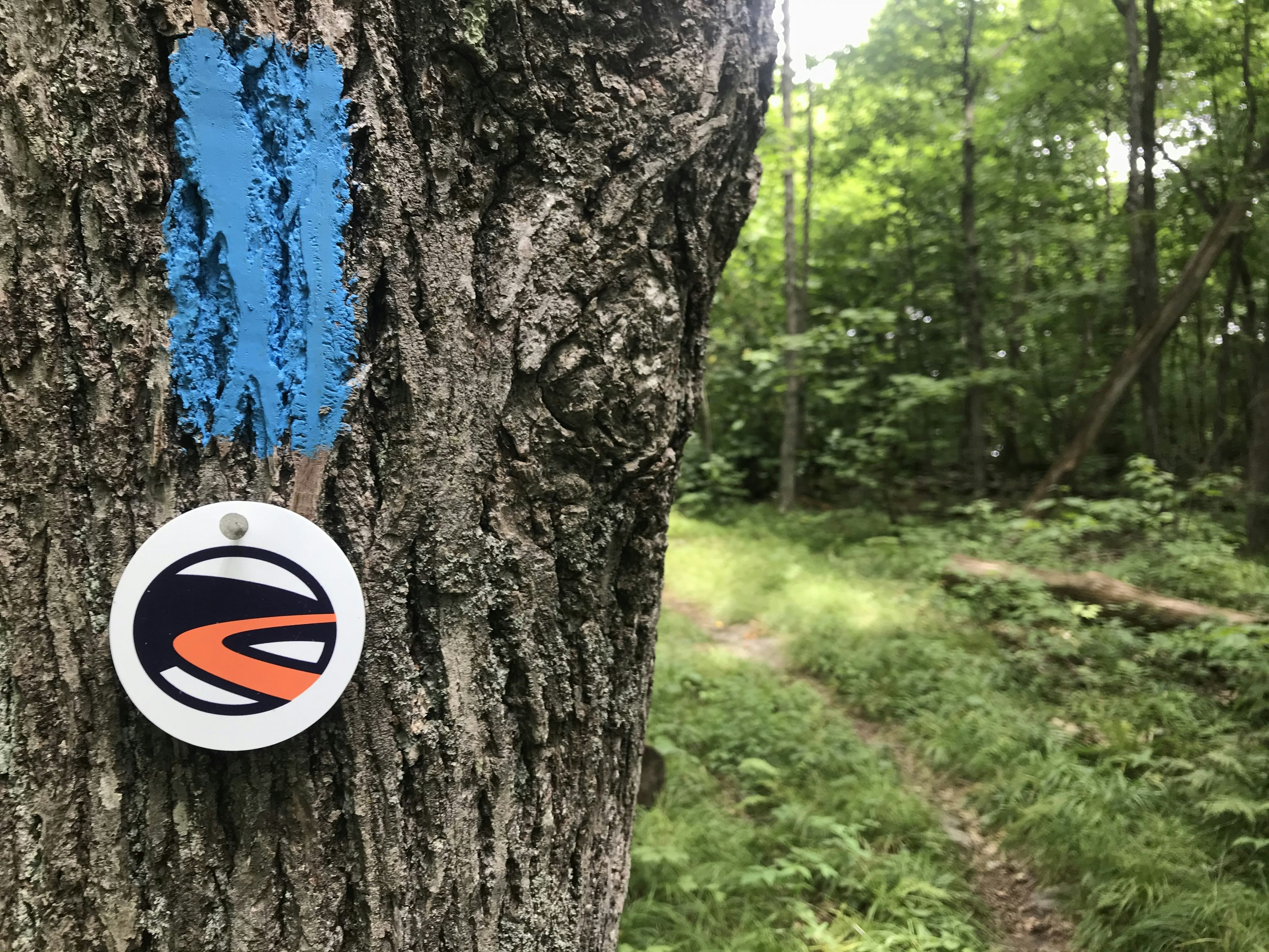 Markers on the trail of The High Road