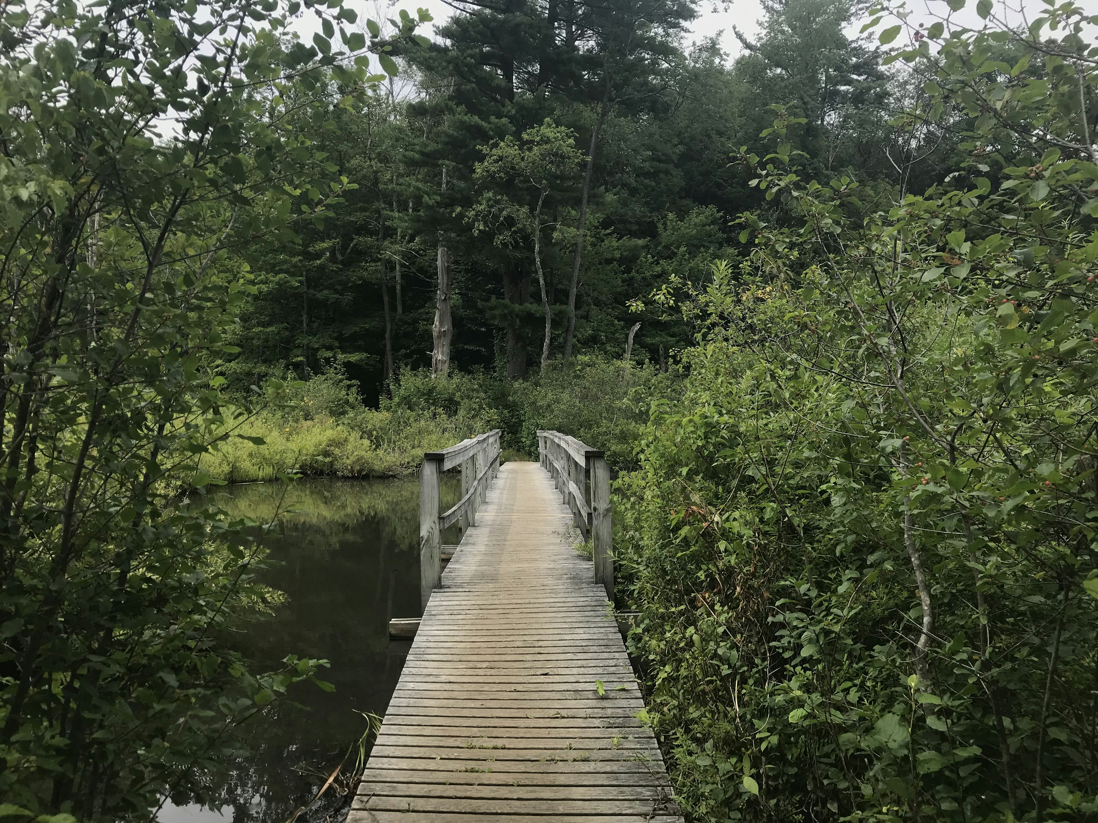 A bridge on The High Road