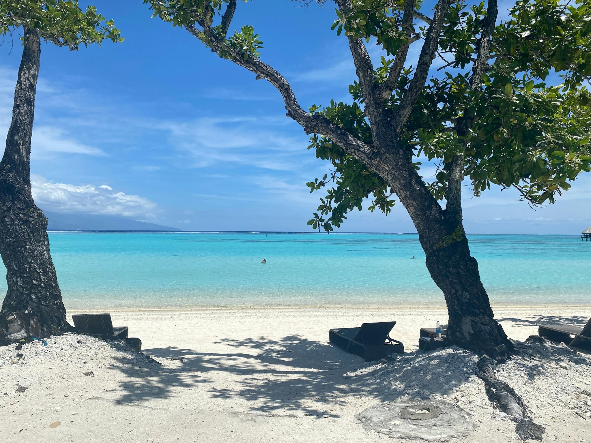 The stunning beaches of Mo'orea