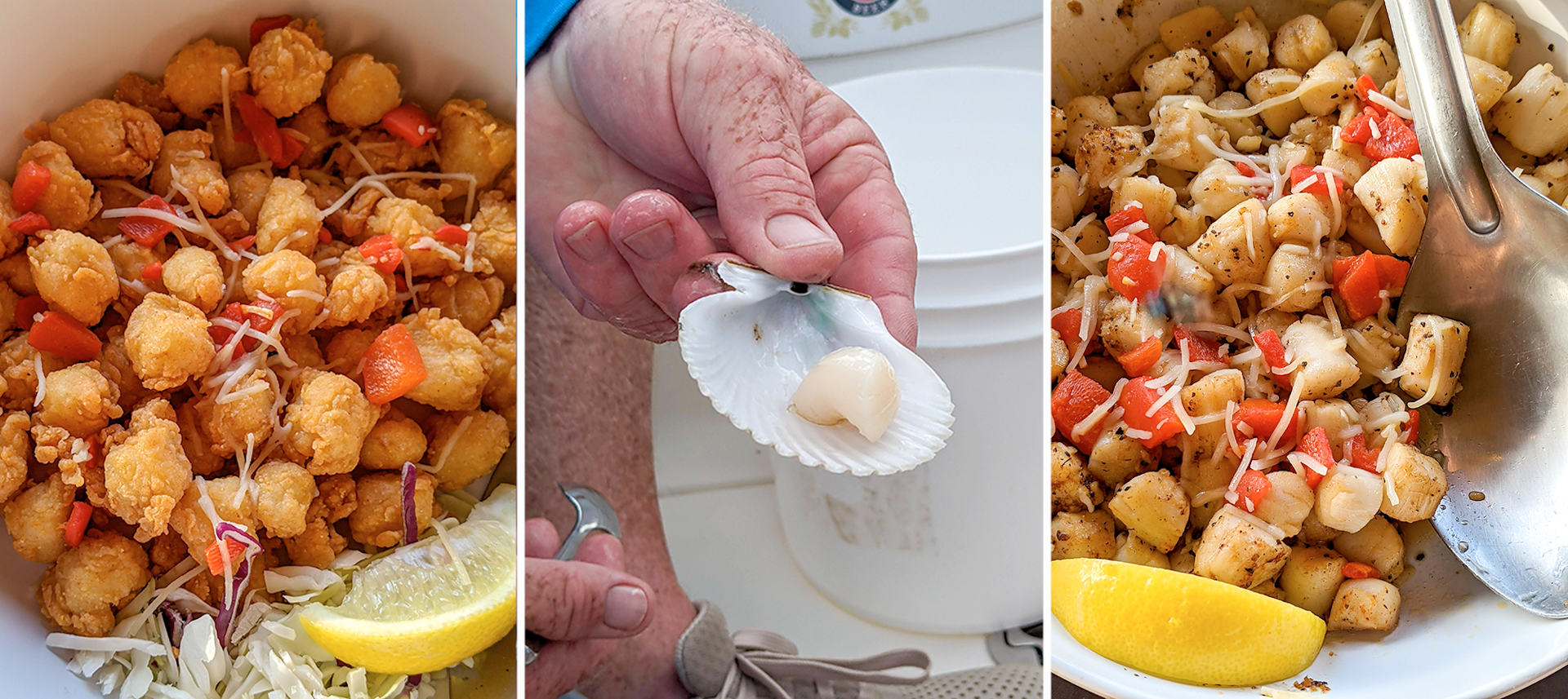A collage of scallops fried and raw