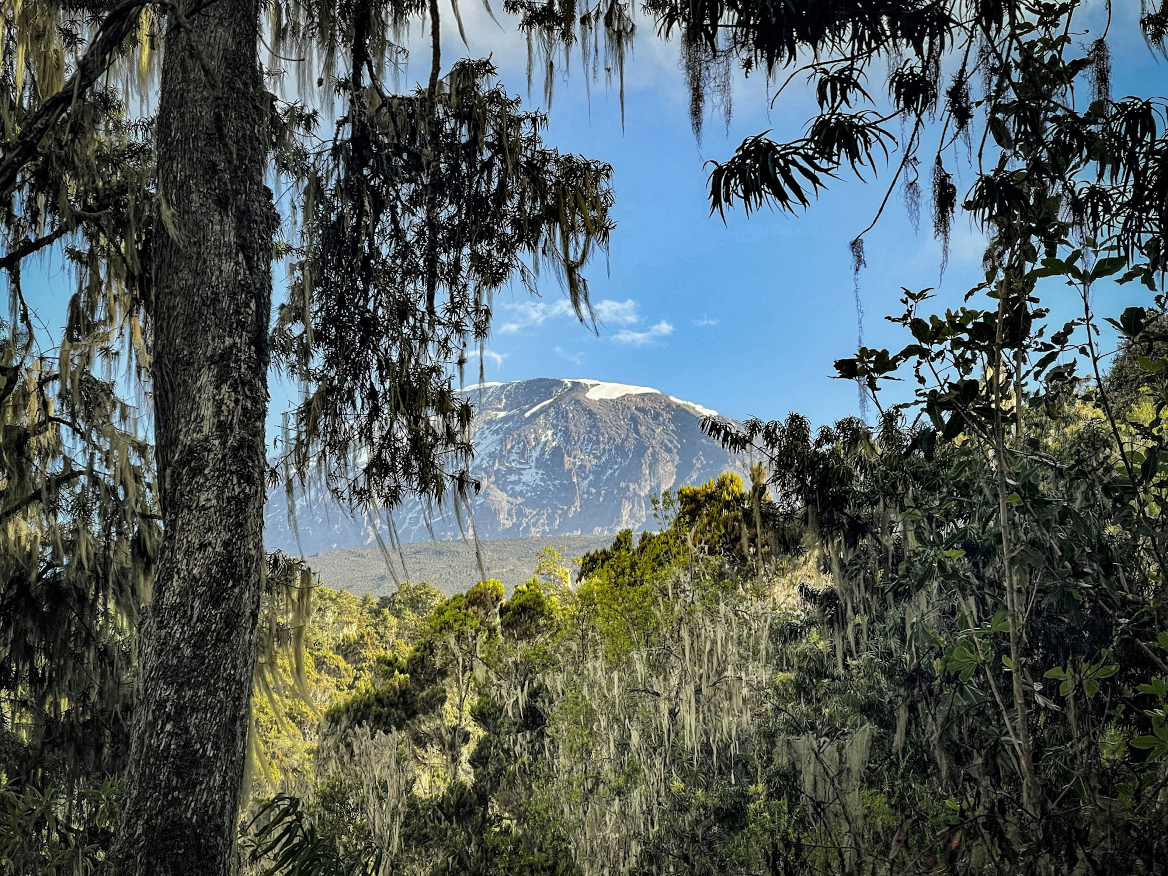 This view of Mt. Kilimanjaro can be seen on the descent along the Lemosho Western-Breach route