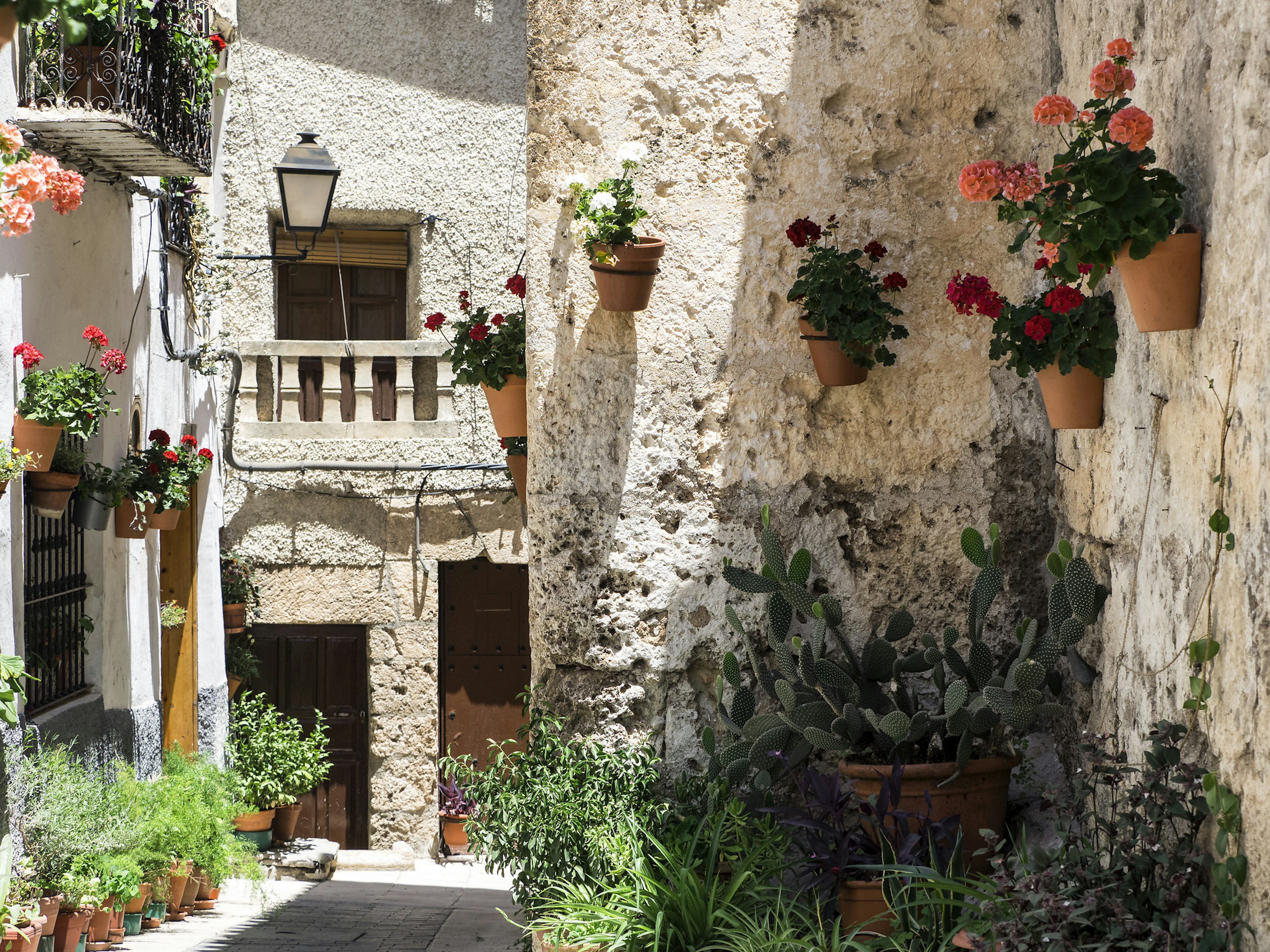 Flowerpots hanging from the wall of a narrow street of medieval origin. Letur, Albacete, Castilla la Mancha, Spain