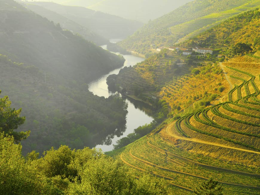 A river snakes through a green valley of terraced vineyards