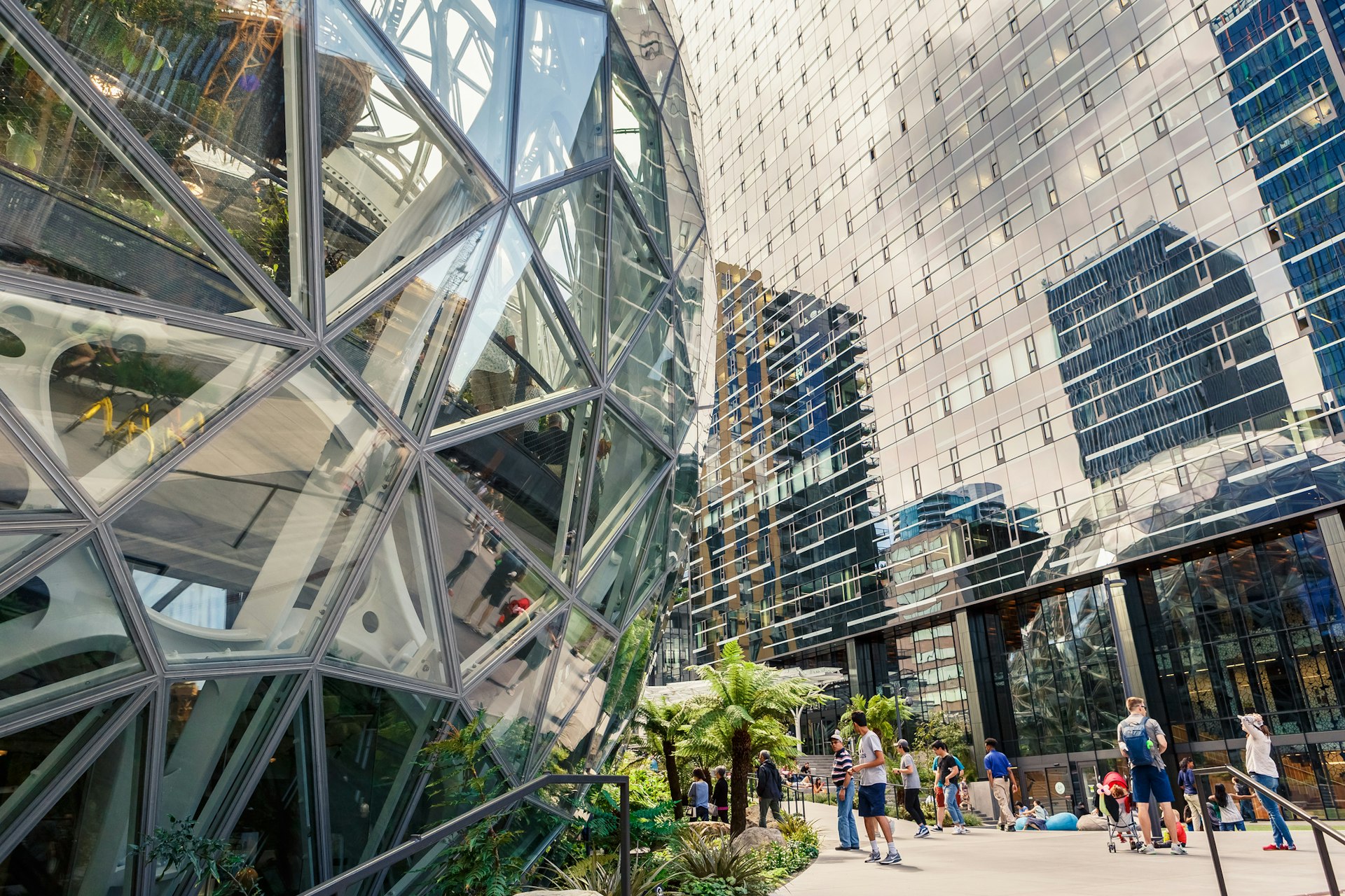 Side view of a giant glass spherical greenhouse in downtown Seattle