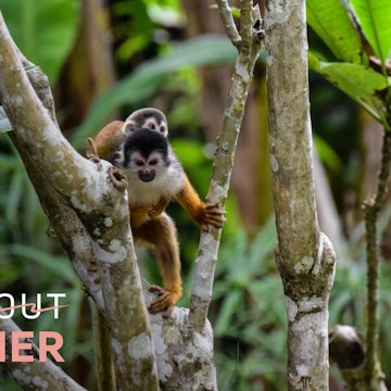 Sold Out Summer - Costa Rica