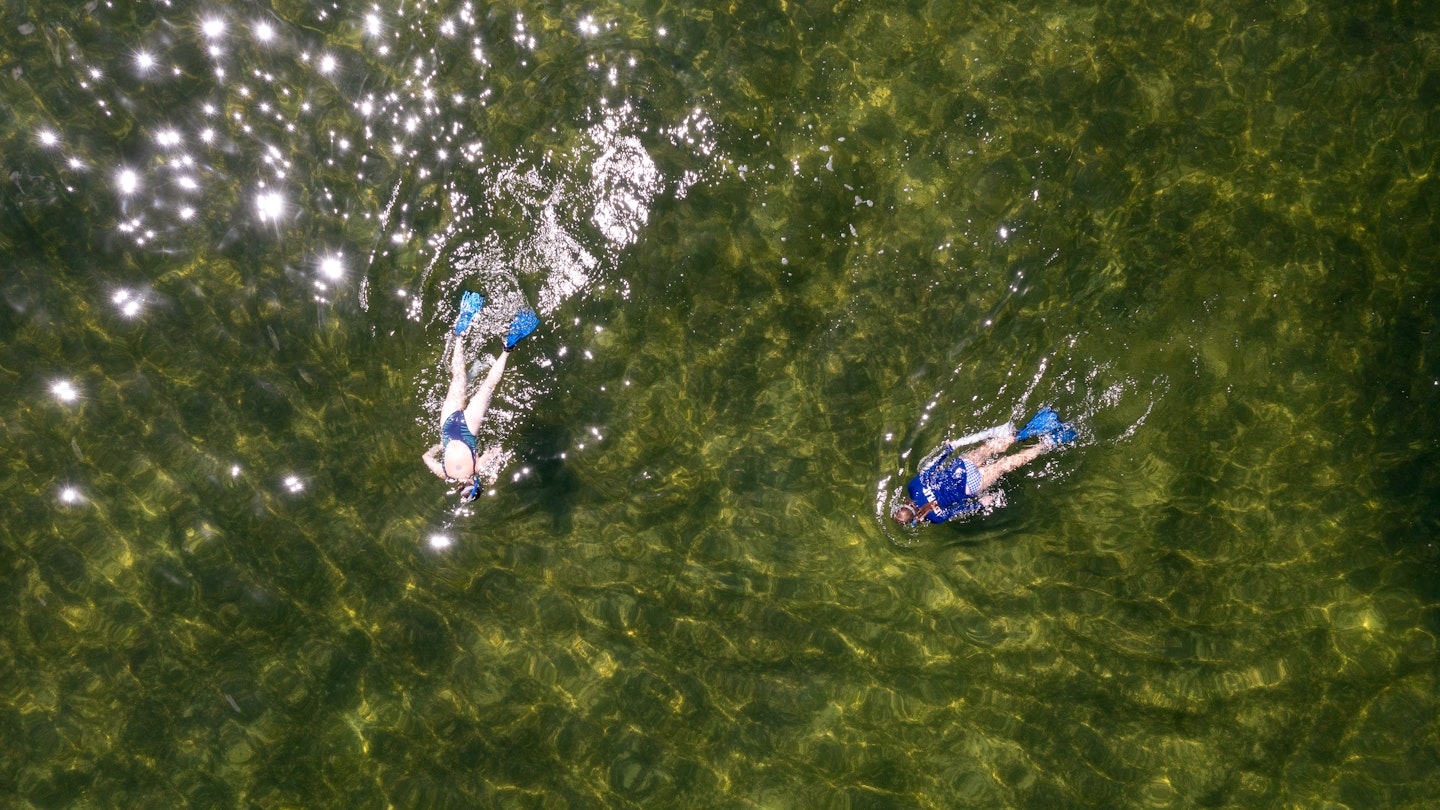 Snorkeling for scallops in Florida.