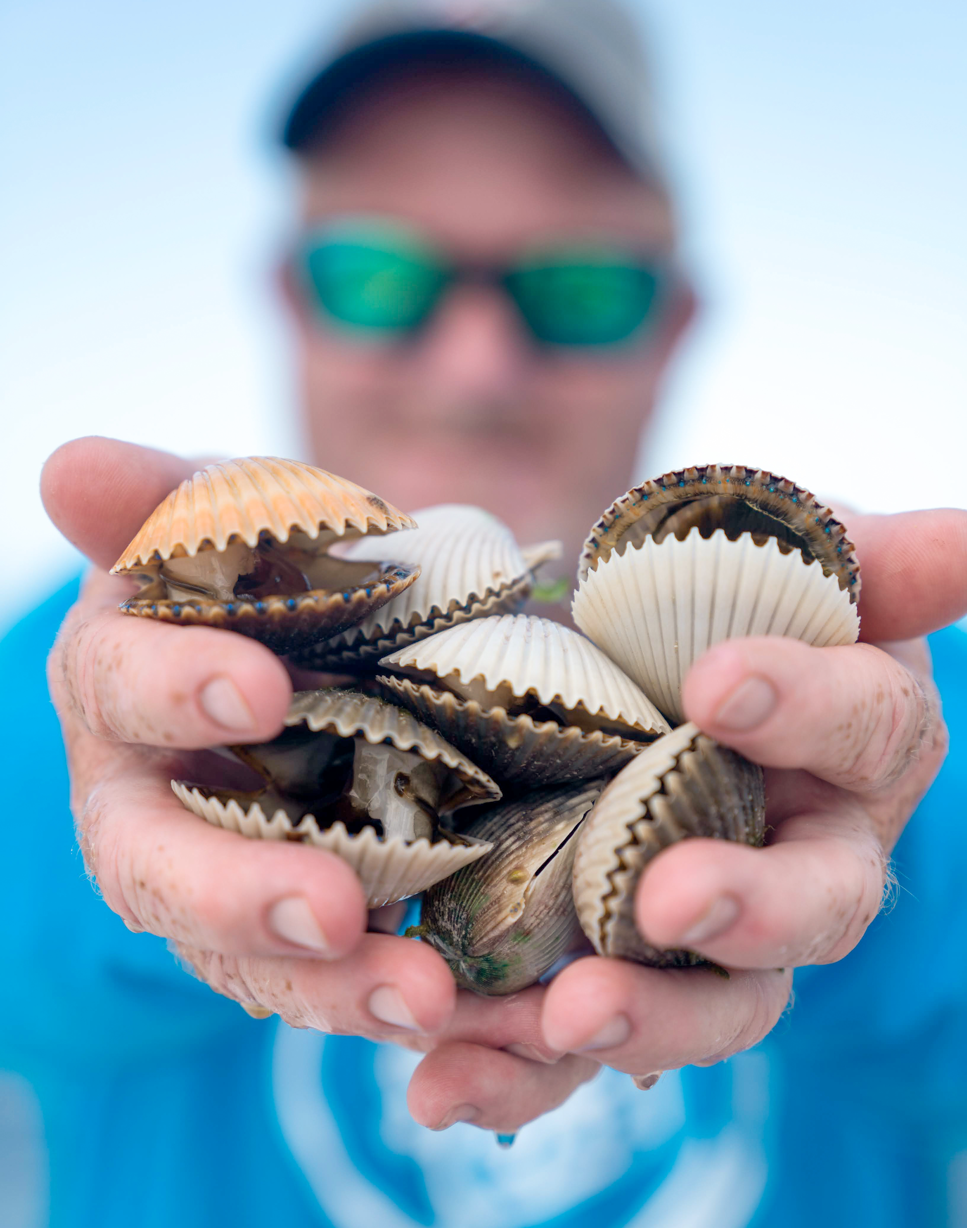 A man holding two handfulls of scallops in Florida