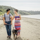 Pregnant lesbian couple walking dog on beach