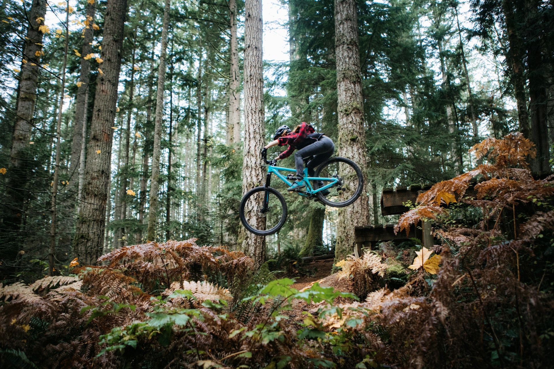 An adult woman on a mountain bike on a forest mountain bike trail in Issaquah