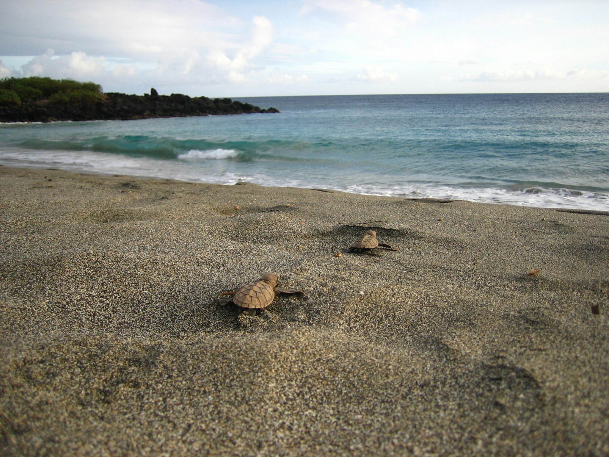 Stop stacking rocks Hippies : r/Hawaii
