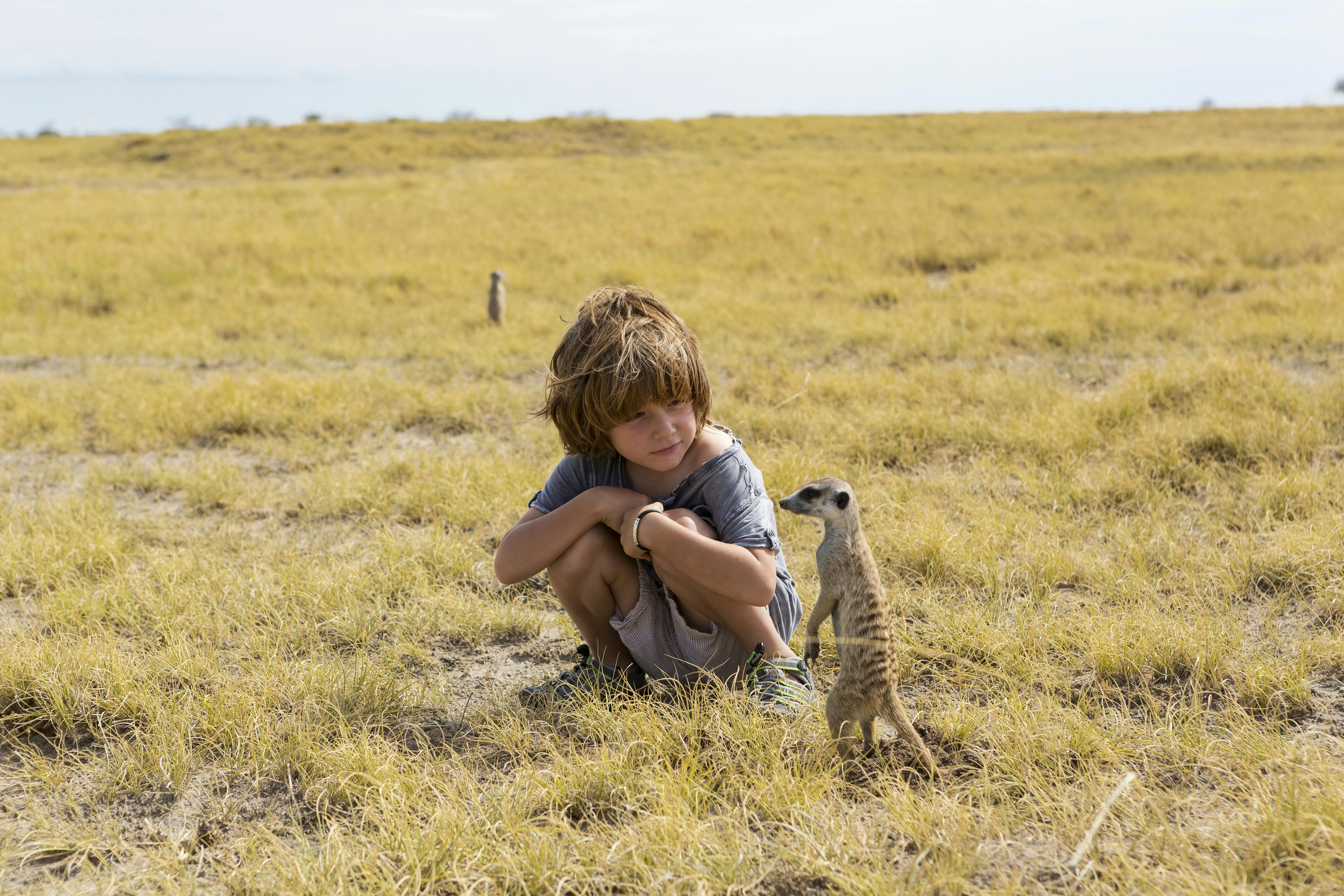 A boy squats to look at a meerkat, Makgadikgadi Salt Pans, Kalahari Desert, Botswana, Africa