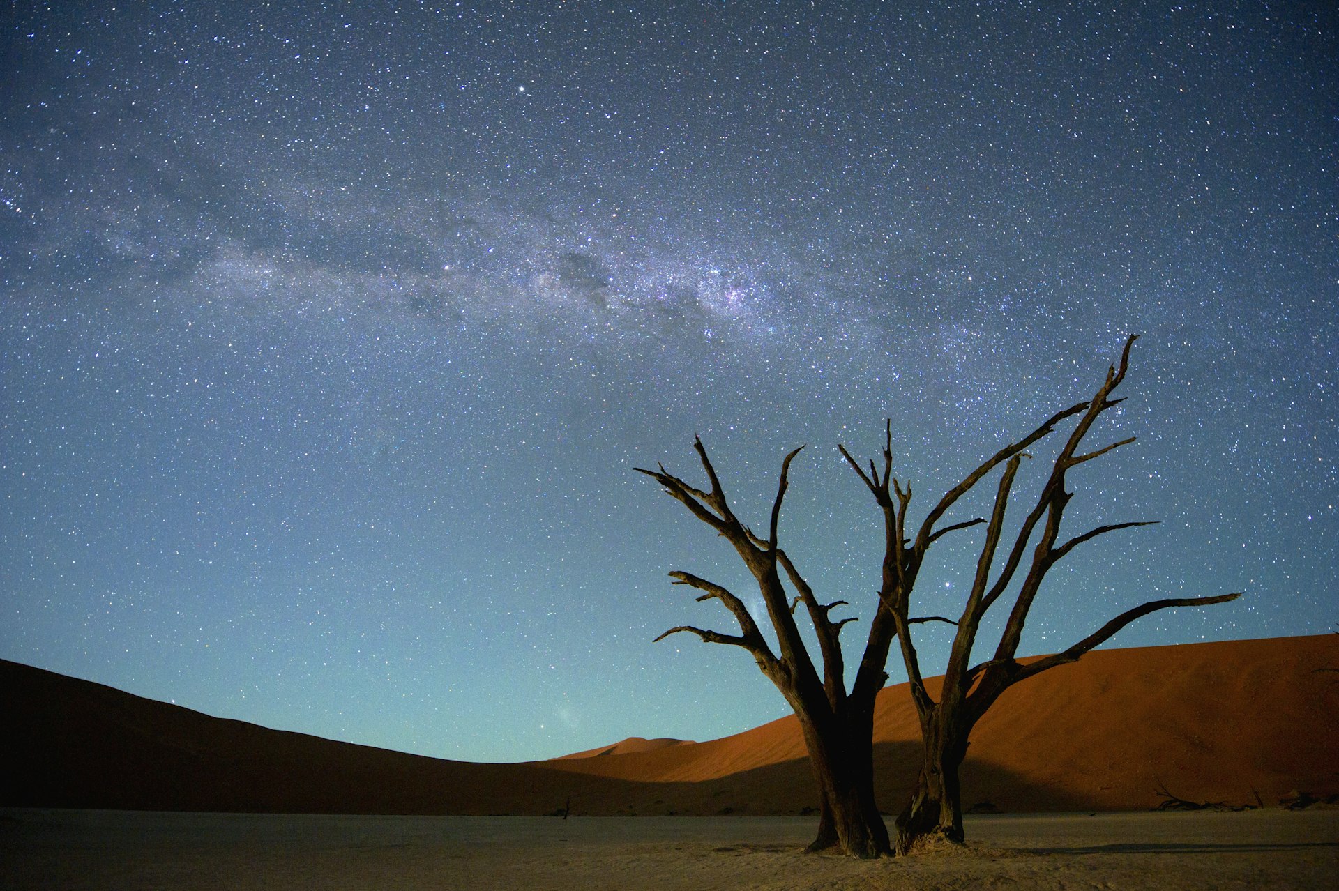 The Milky Way at night, seen behind the silhouette of a dead acacia tree, Deadvlei, Soussvlei, Namibia