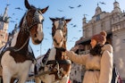Woman and horses in Krakow at winter