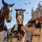 Woman and horses in Krakow at winter