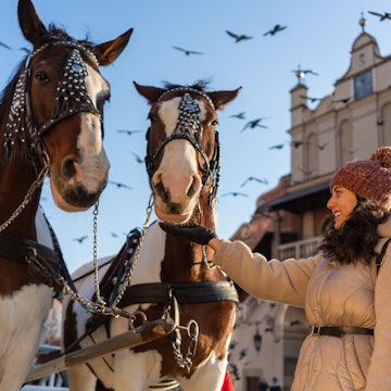 Woman and horses in Krakow at winter