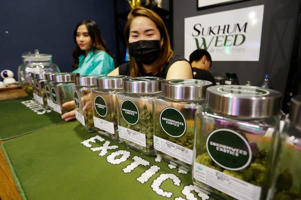 Cannabis is legal in Thailand, but it's complicated: what travelers need to know