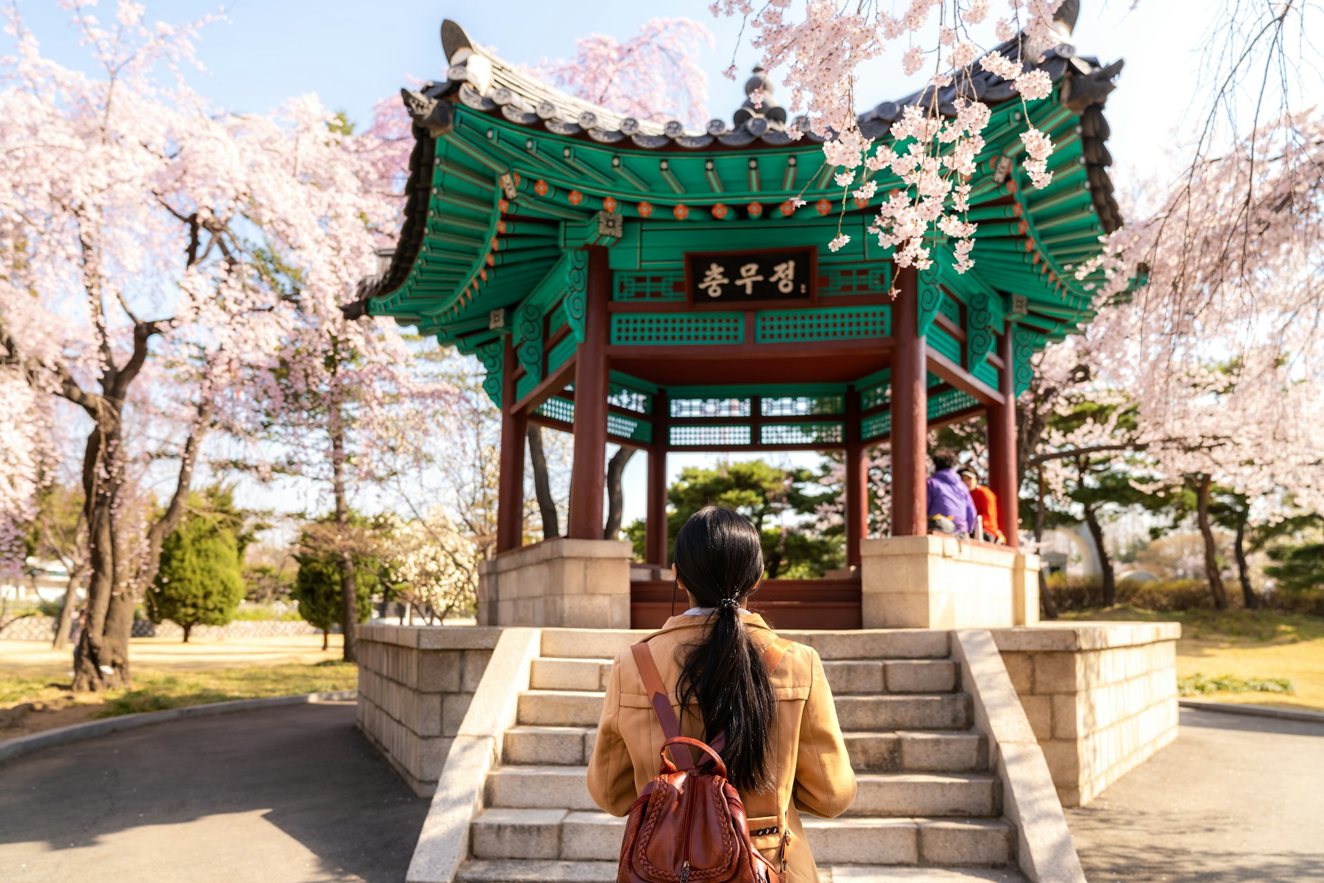 Asian woman at a Korean pavilion in cherry blossom season, Seoul, South Korea