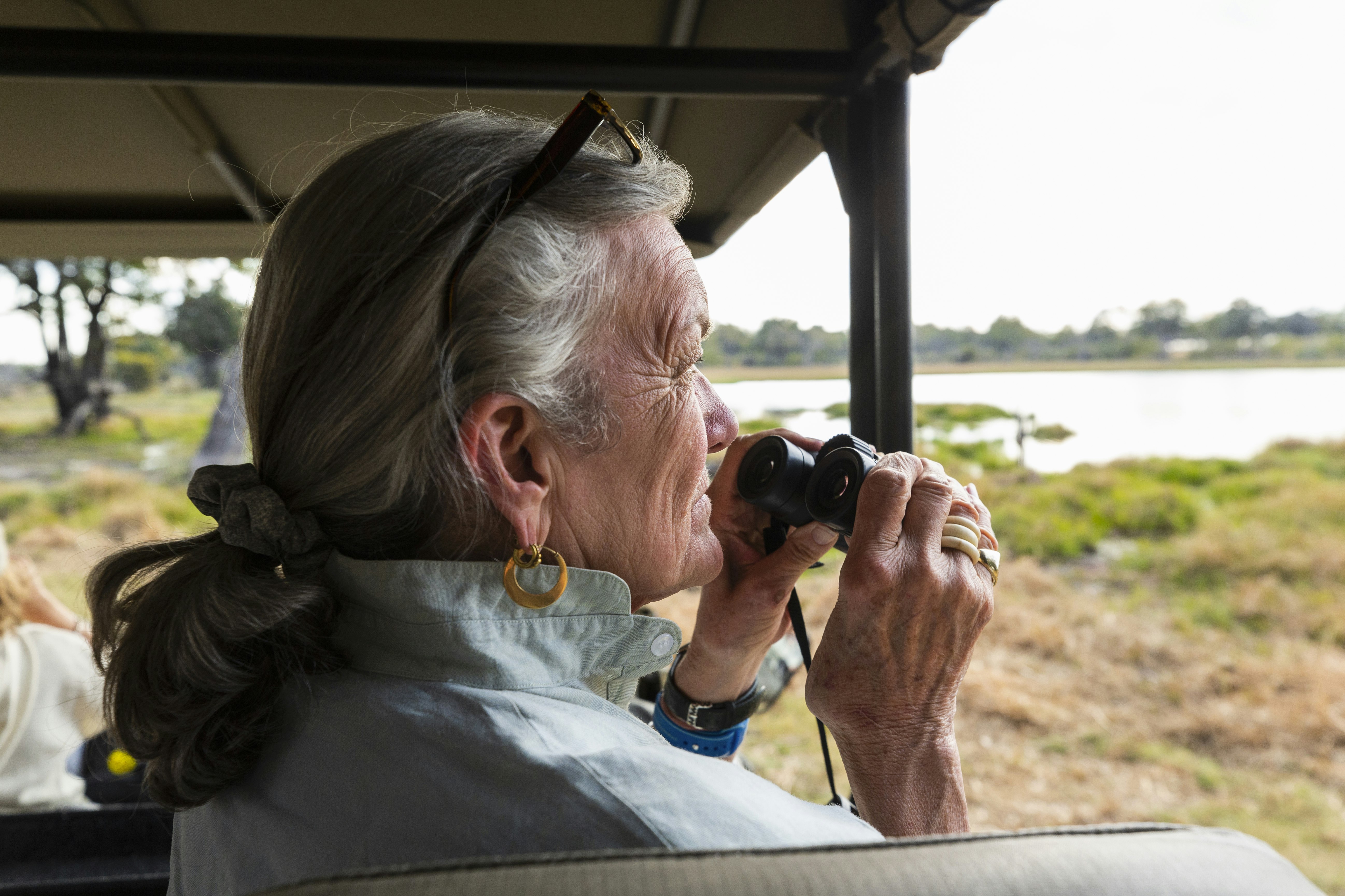 Senior woman using binoculars, sitting in a safari vehicle, looking out over marshes and waterway