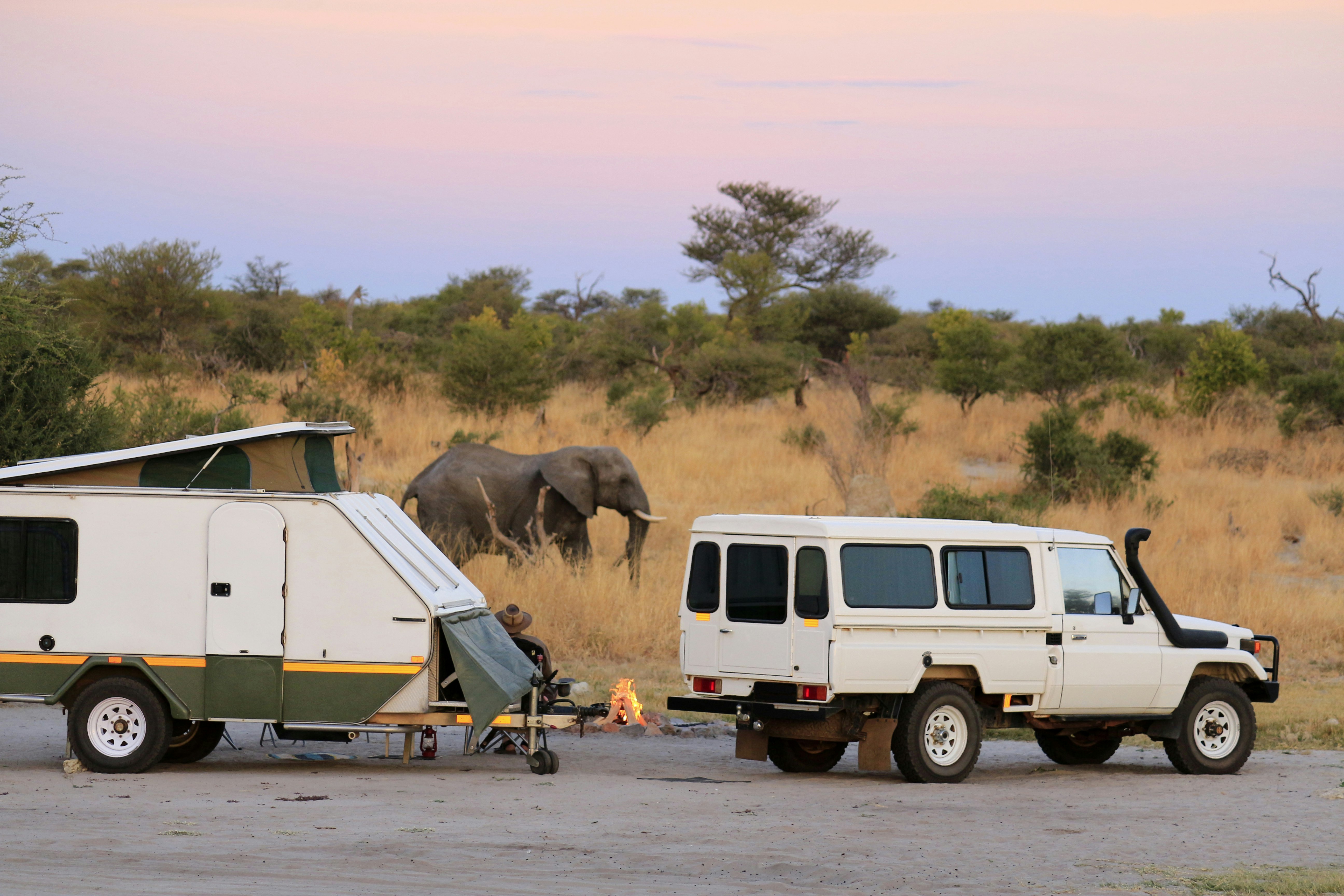 An elephant passes by people sat in camp chairs near their truck