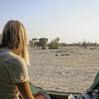 Wild elephants wander by my tent early in the morning in Botswana.