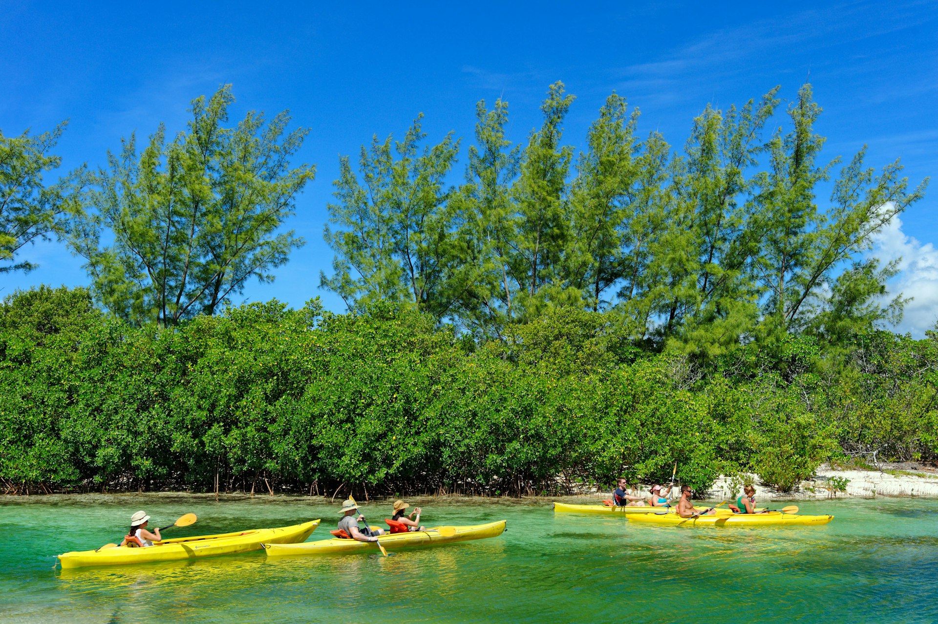 People kayaking in the blue ocean waters lined with mangroves at Lucayan National Park, Bahamas