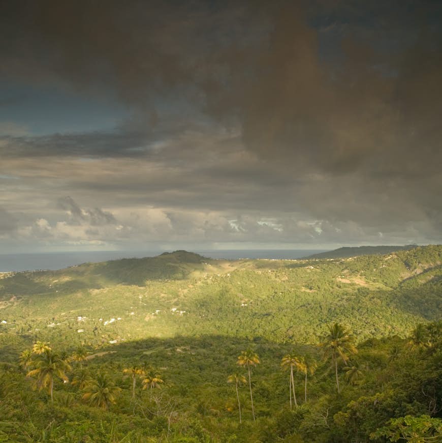 La Barbade, l'intérieur des terres, le Mont Hellaby : vue en fin d'après-midi sur la forêt depuis le sommet d'une montagne à la Barbade