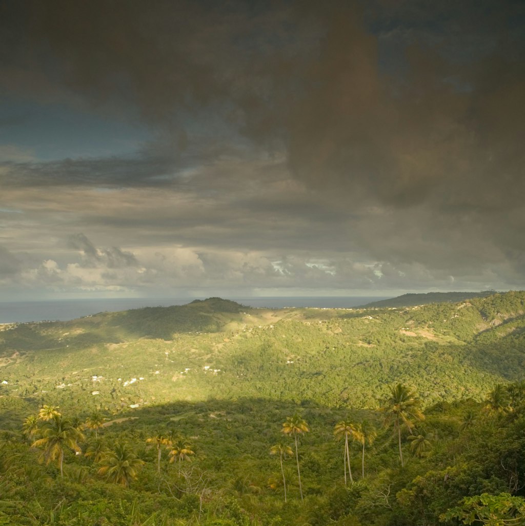 Best Hikes In Barbados – Lonely Planet Lonely Planet