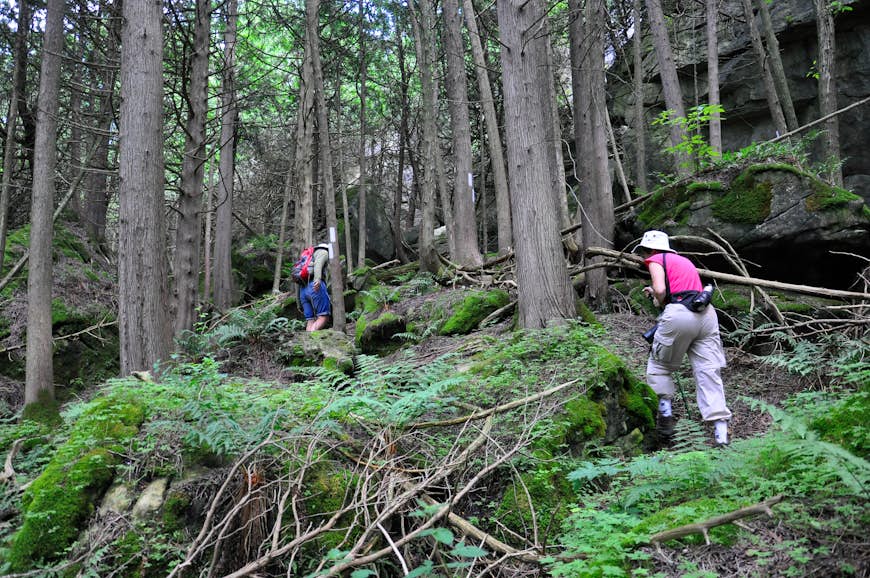 People hiking on the Bruce Trail, Ontario