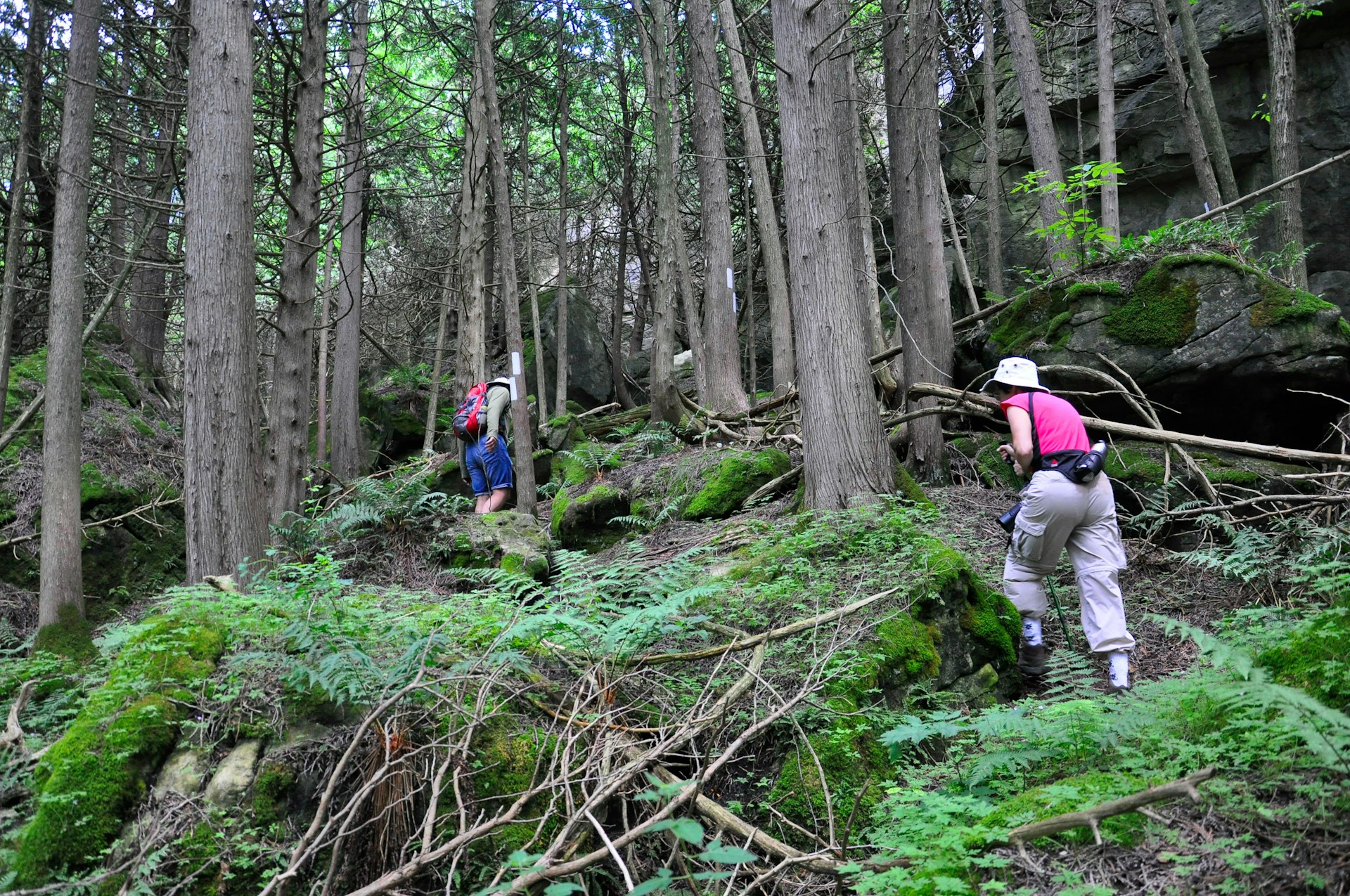 People hiking on the Bruce Trail, Ontario