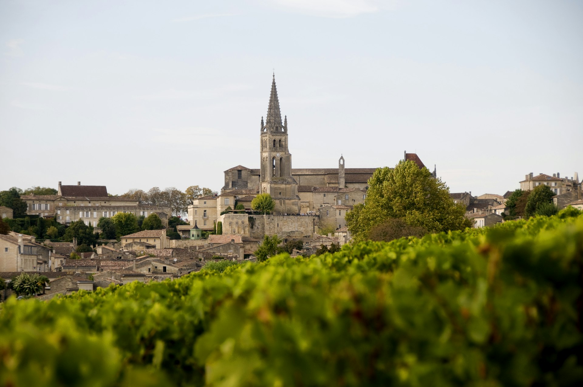 Spire of a cathedral in the medieval village of St-Émilion, France, rises above greenery