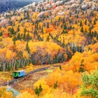 Cog railway train on Mt Washington in New Hampshire climbing through autumn foliage.