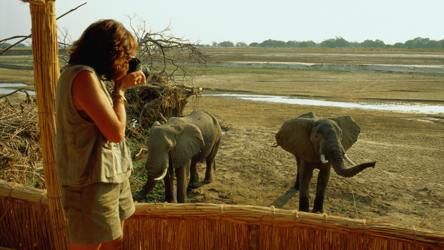 South Luangwa game reserve, nicknamed the 'crowded valley' because of the volume and diversity of its animal inhabitants, is a developing safari destination with many lodges.