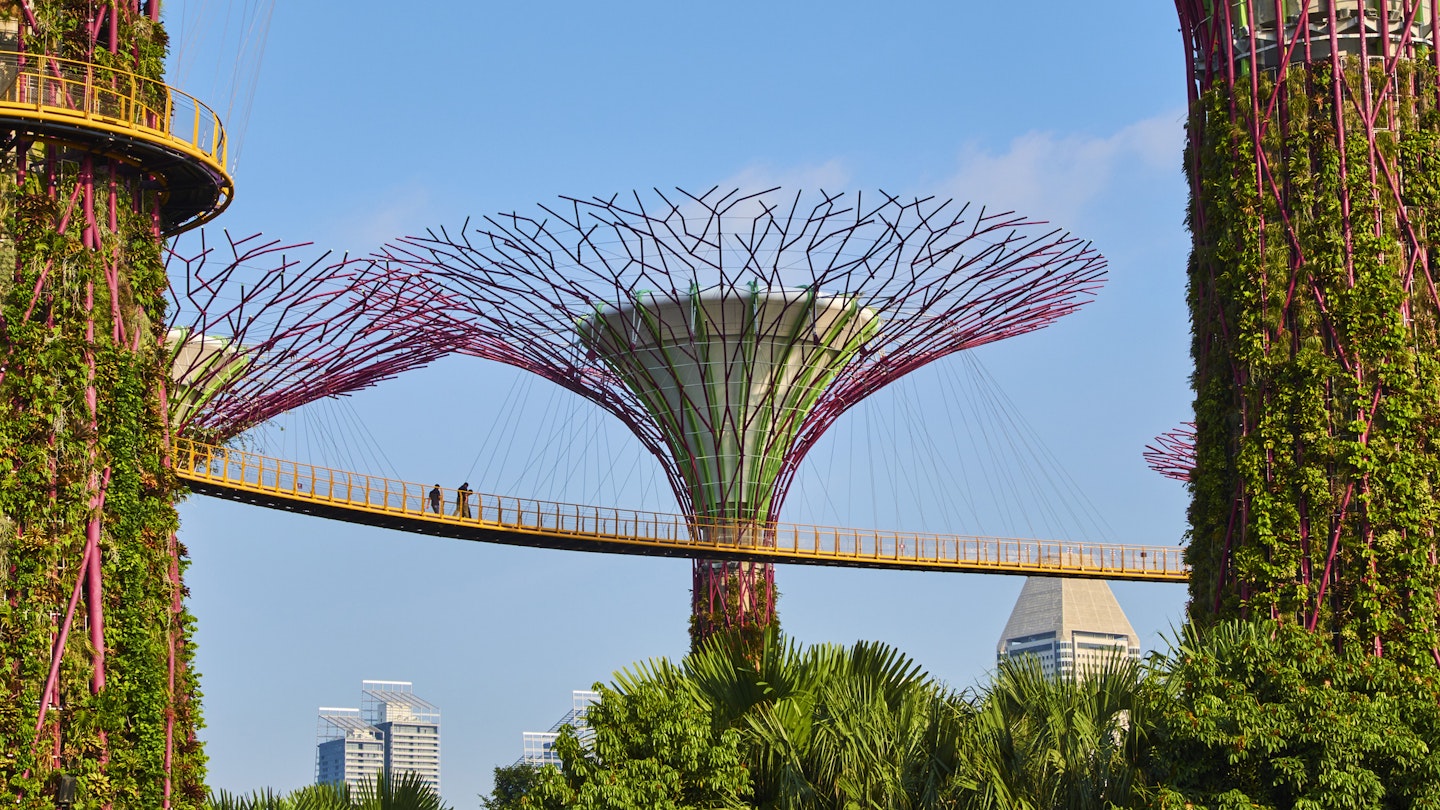 Singapore, Marina Bay, Garden By the bay, botanic garden, Supertree Grove