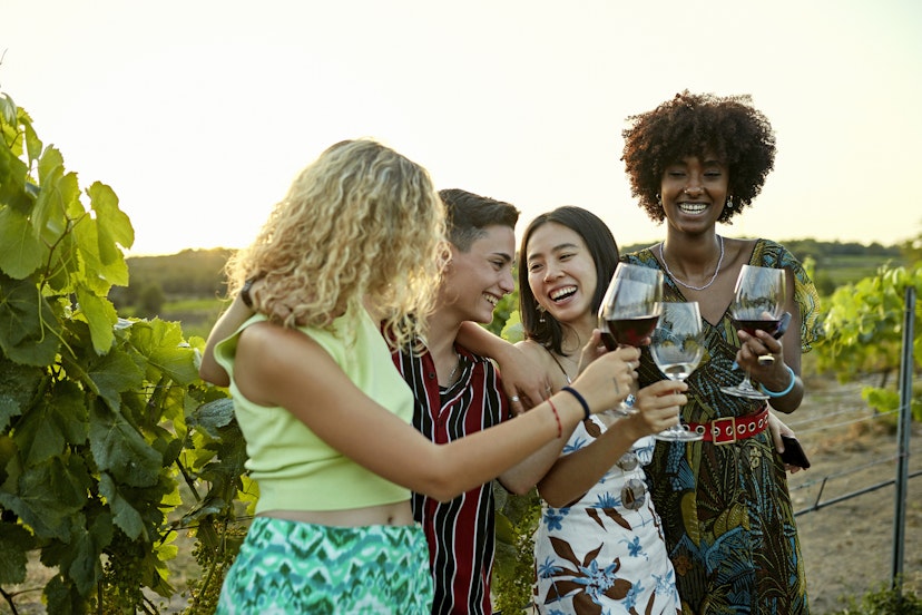 Diverse group of women together outdoors amidst grapevines, holding glasses of red and white, and celebrating vacation leisure.