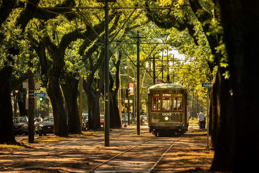 A streetcar or tram runs down a street with large overhanging trees creating a canopy of green