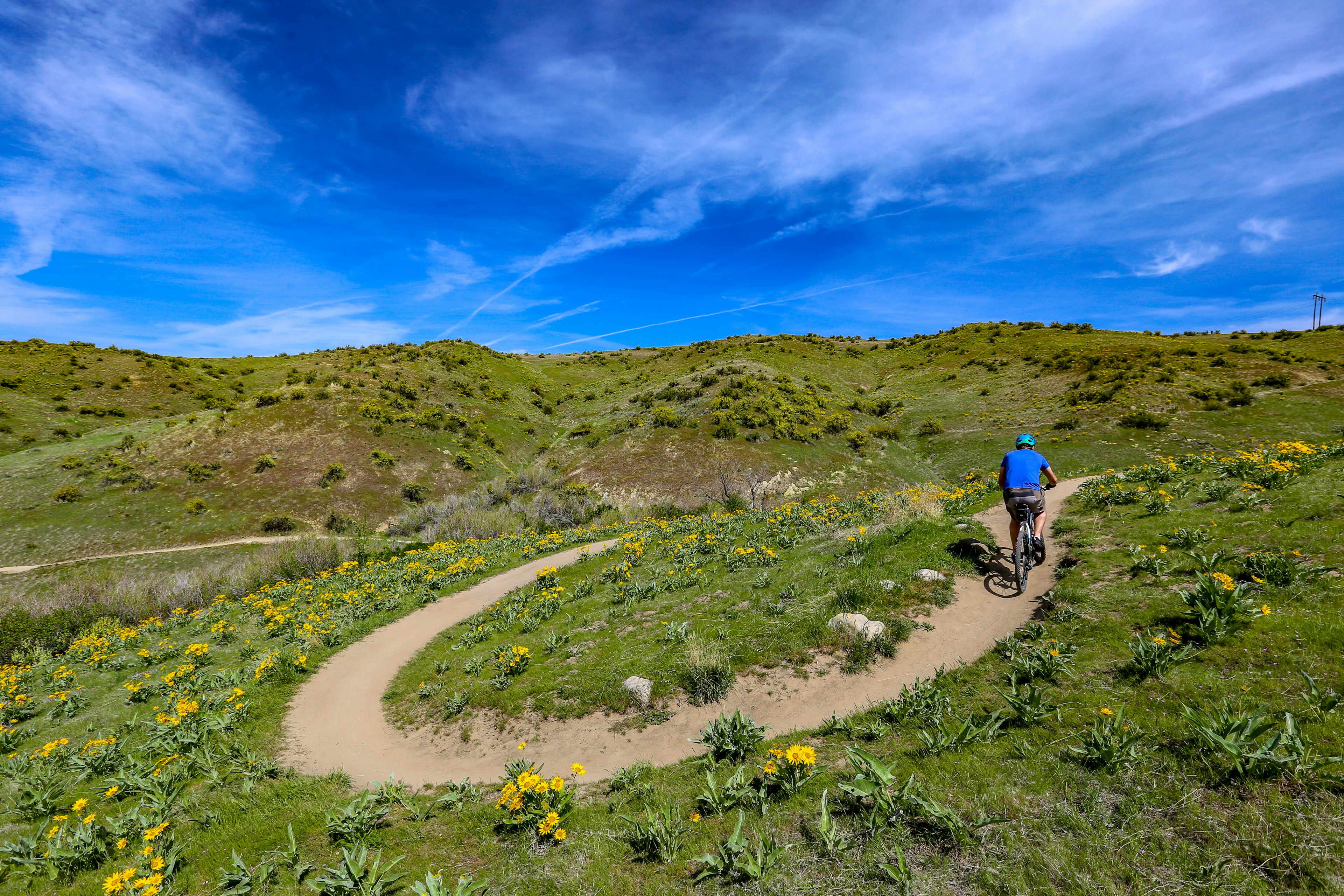 Man mountain biking in the Boise foothills