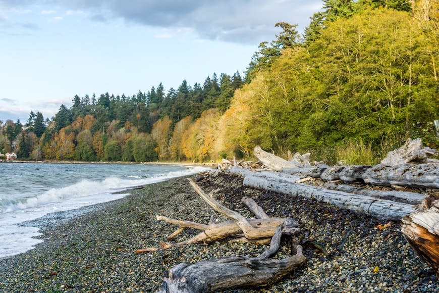 An autumn view of the shoreline at Lincoln Park in West Seattle, with leaves on the trees in golden browns, reds and yellows 