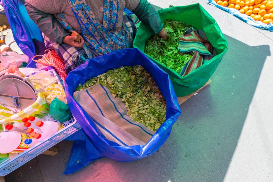 A woman sits surrounded by bags of coca leaves for sale in La Paz, Bolivia