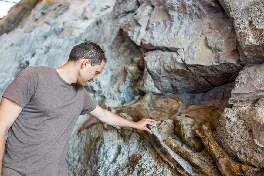 Man touching dinosaur bones at Dinosaur National Monument, Colorado