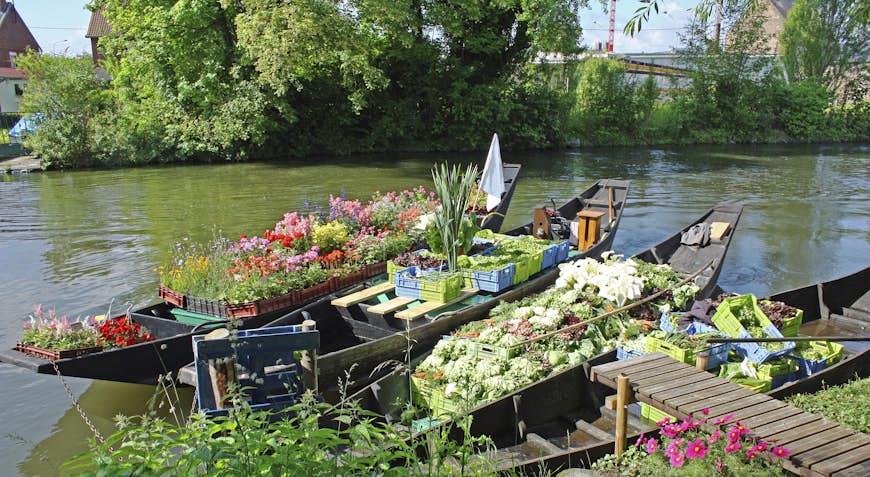  Cone boats filled with vegetables and flora for the floating market from the hortillonnages. Picardy. sum. Hauts-de-France