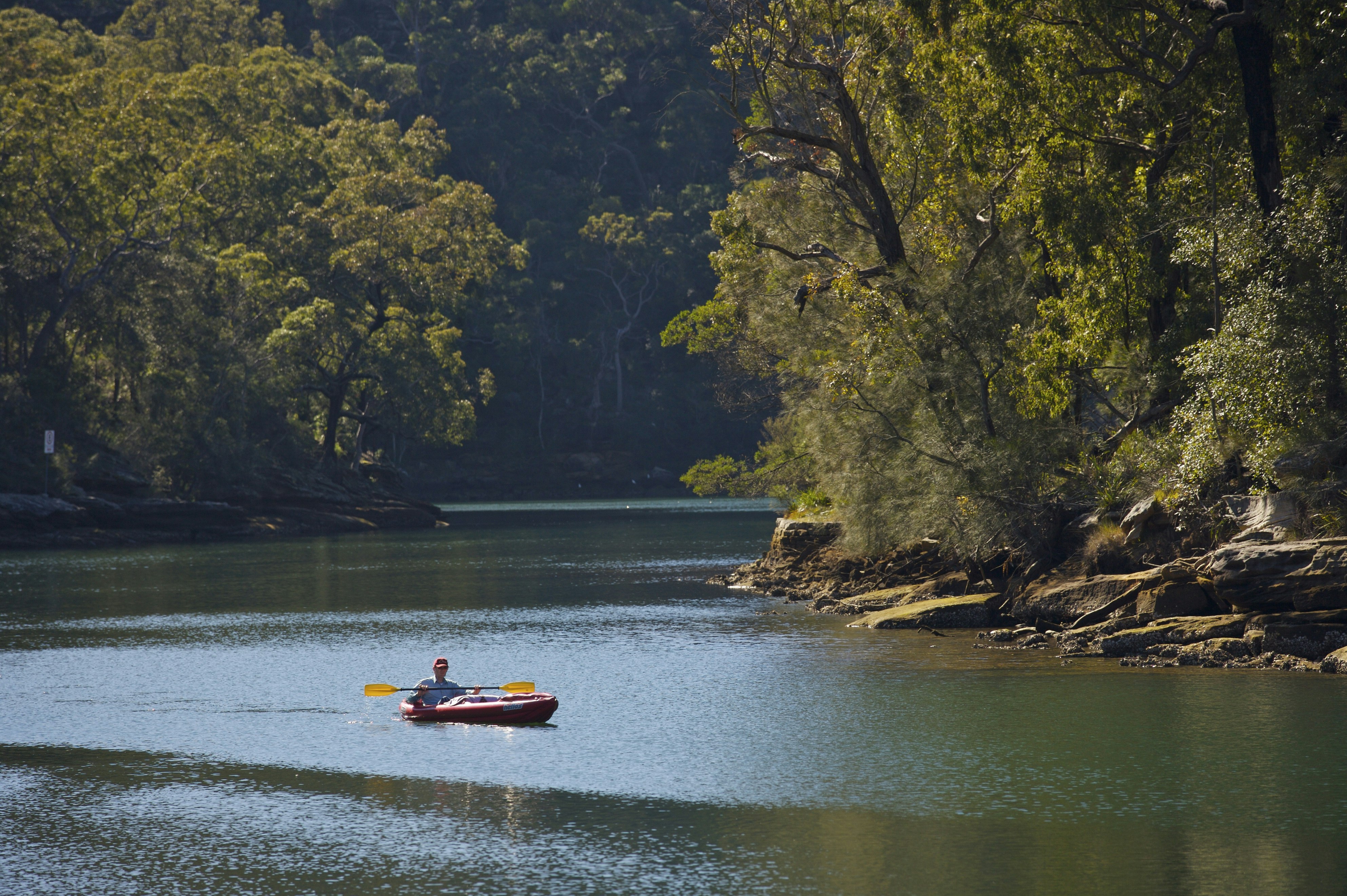 Canoeing near Audley, Royal National Park, New South Wales, Australia, Australasia