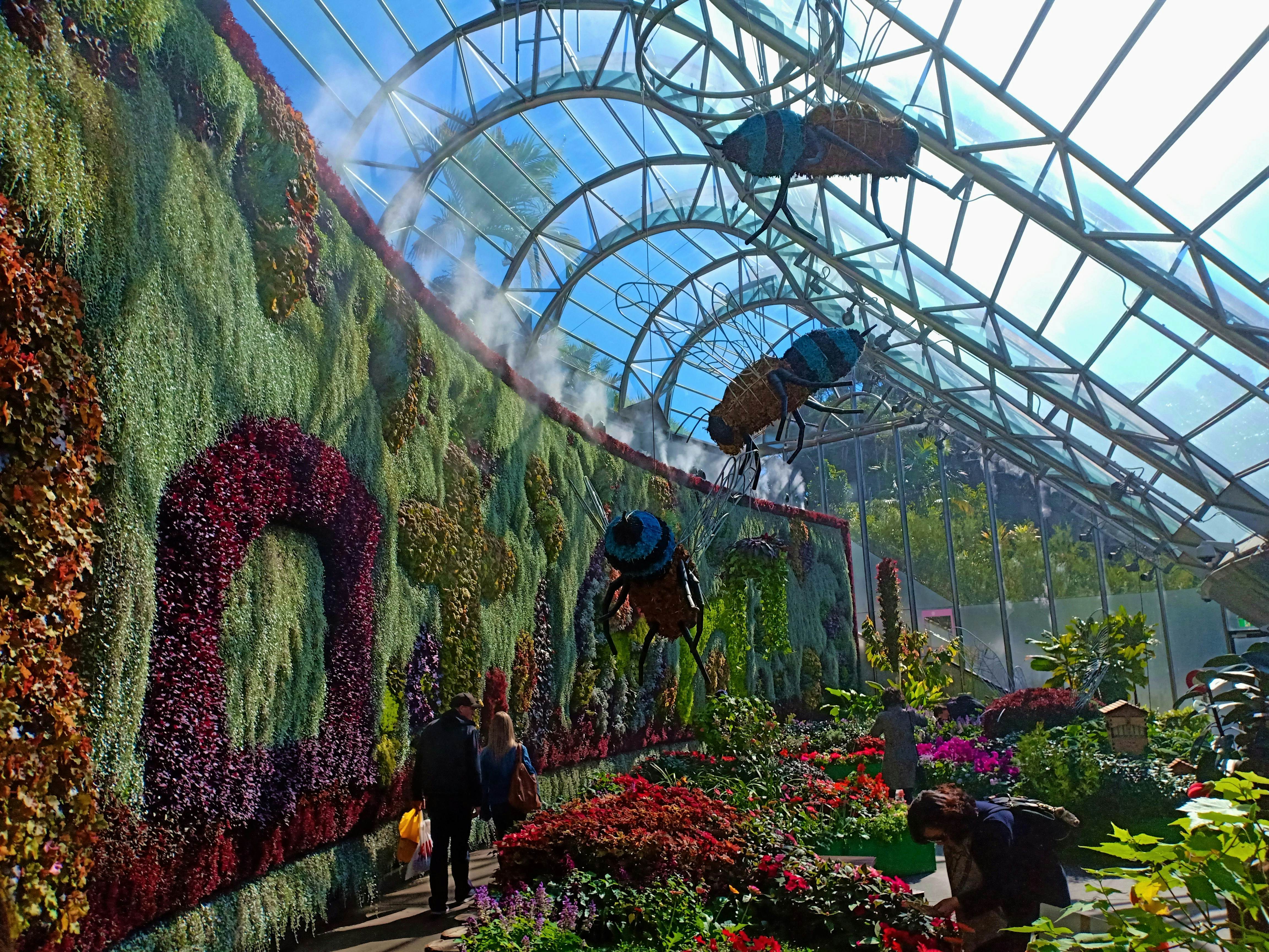 A floral wall exhibition at the Calyx in Sydney's Royal Botanic Garden